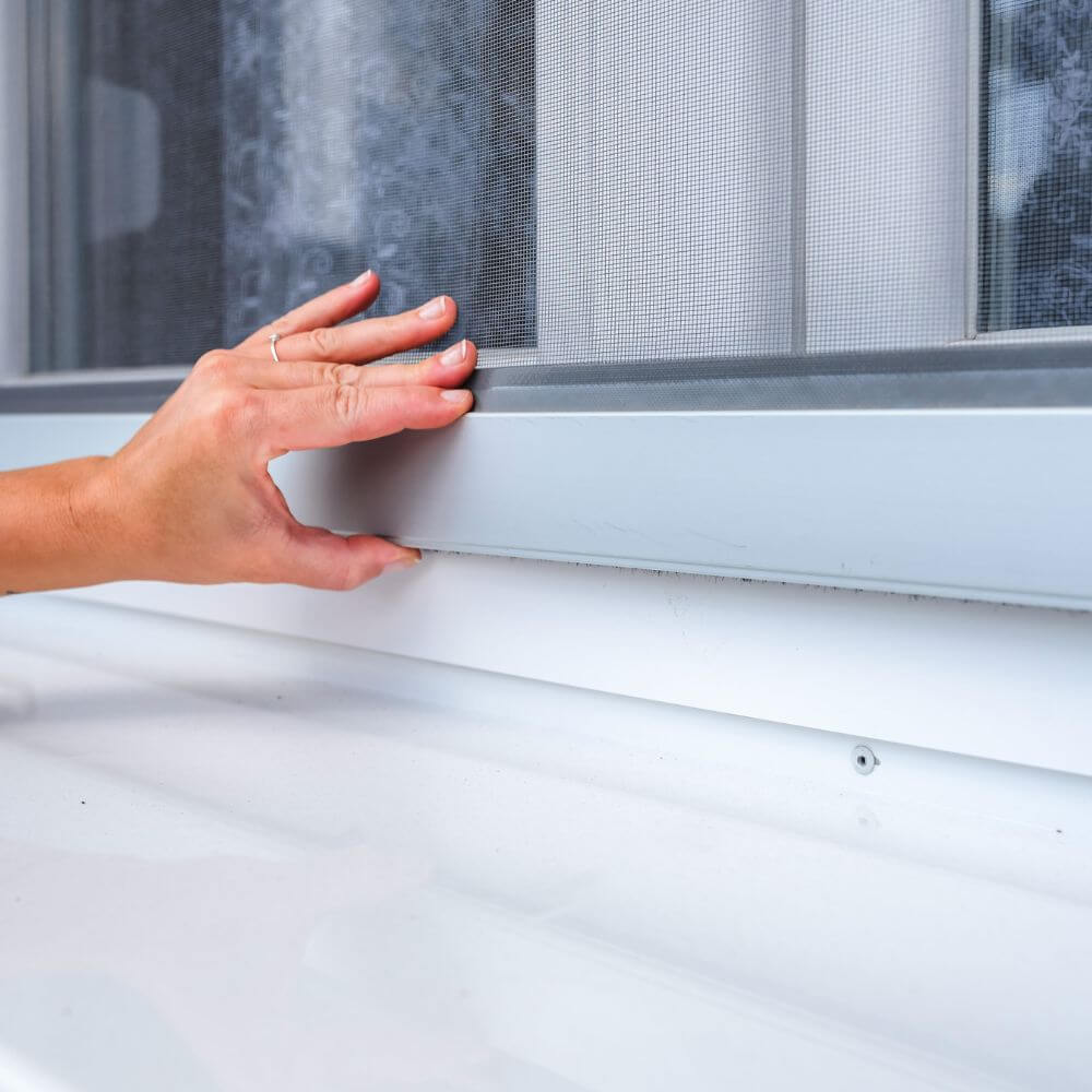 Window Screens for Home Keep Bugs Out